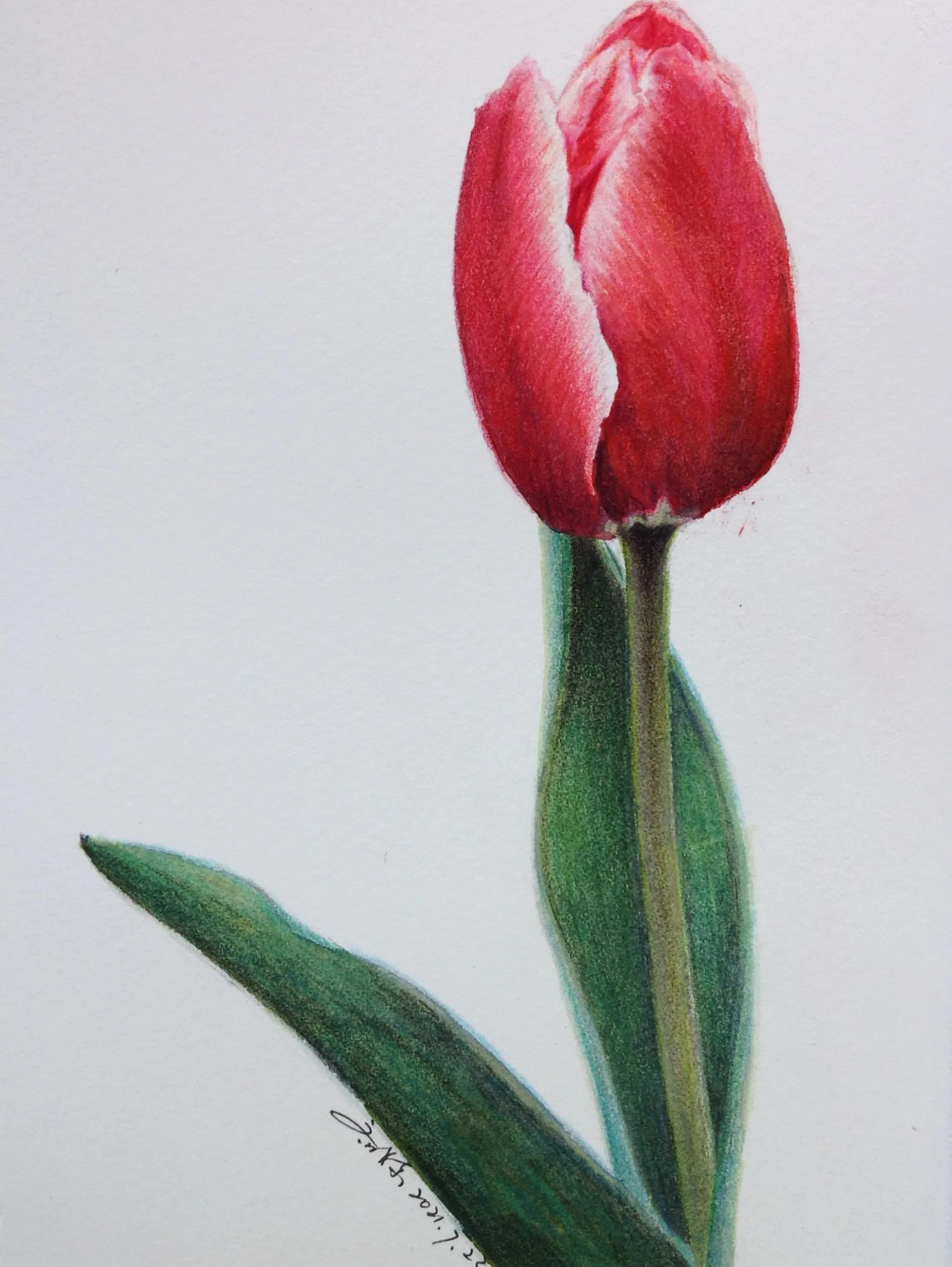 幸福原创绘画作品欣赏,幸福原创画作品