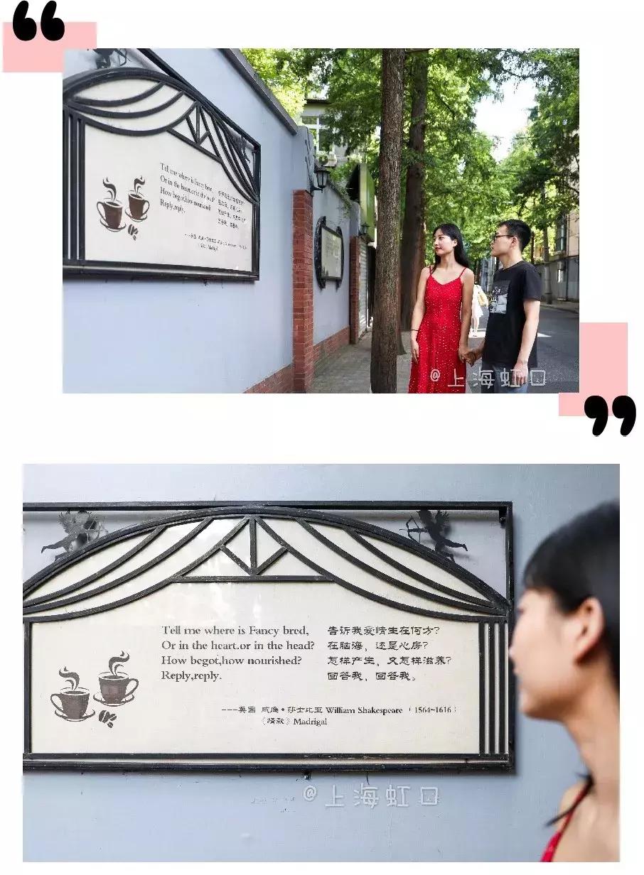 张晋蔡少芬上海街头,张晋蔡少芬上海游