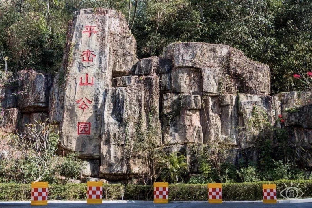 深圳最适合亲子游的好去处,深圳周末家庭游玩好去处