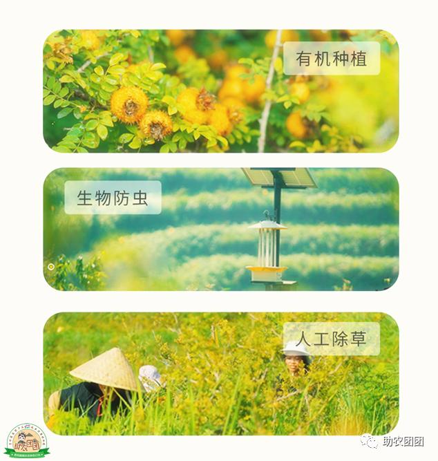 助农团团所有视频,贵州助农团团最新视频