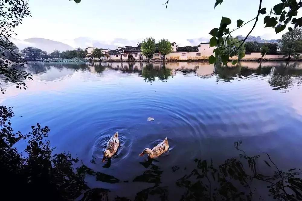 苏州太湖余山岛世外桃源民宿,苏州太湖网红民宿推荐