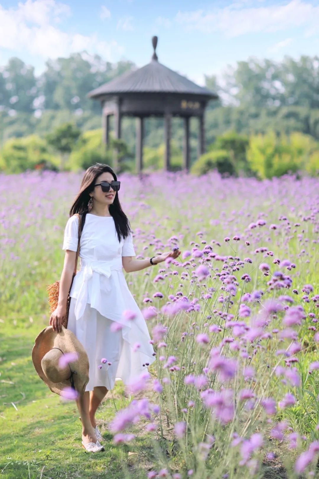 娌欏娴滈鏅尯鑺辨捣,娌欏娴滅殑绱壊鑺辨捣