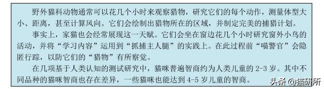 猫咪的记忆是多长时间,猫咪的记忆是永远的吗