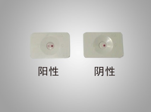 新冠病毒抗体快速检测试剂亮相，量产每日可达50万份！由潍坊康华生物研制成功