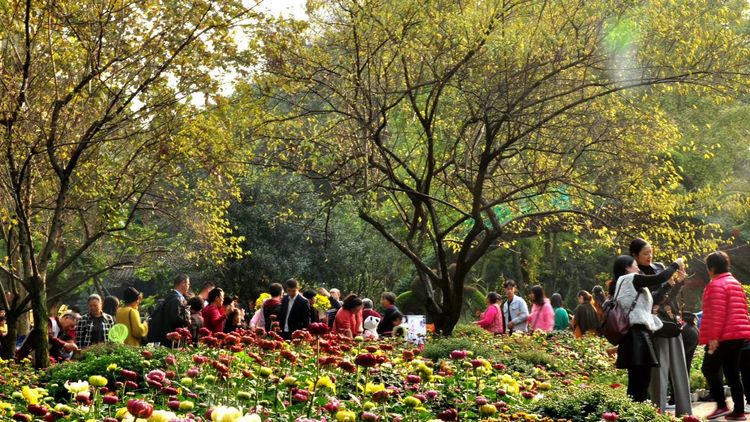 深秋的私语,美文美图经典欣赏