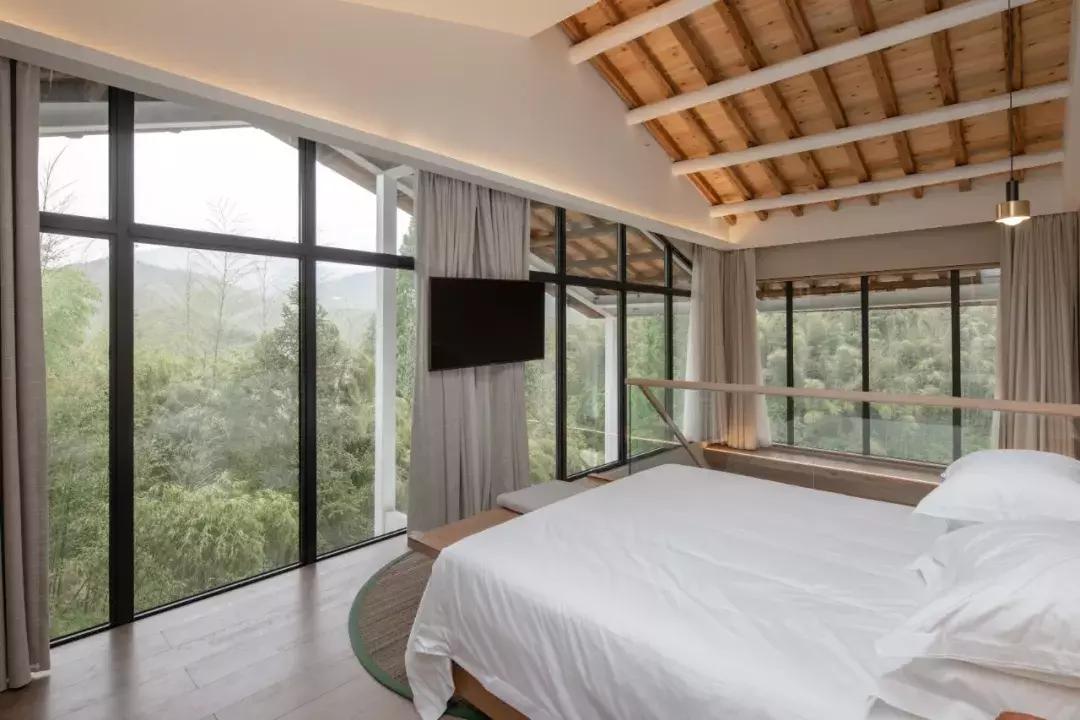 深山废弃的五星级酒店,一个被7万亩竹海包围的树屋酒店