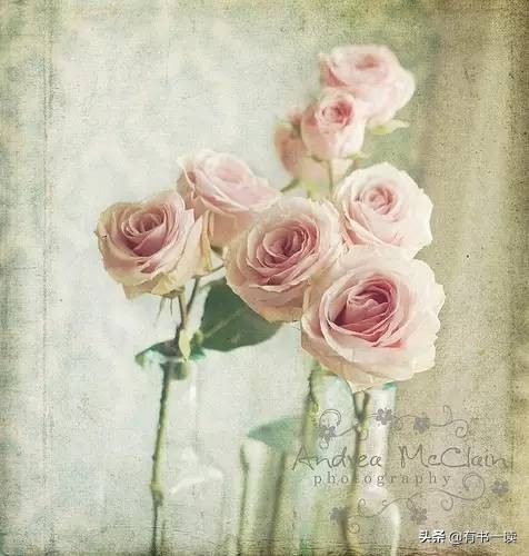 无边的失落与孤独海子诗歌,海子的诗孤独不可言说