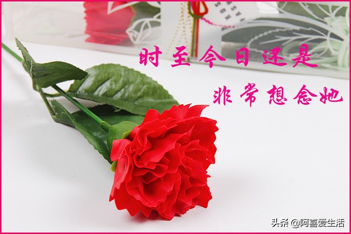 想念40年前初恋情人怎么办,最近老是想起初恋什么预兆