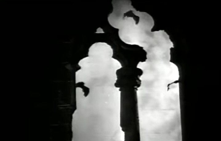 蝙蝠和吸血鬼的渊源,蝙蝠是怎么传播病毒