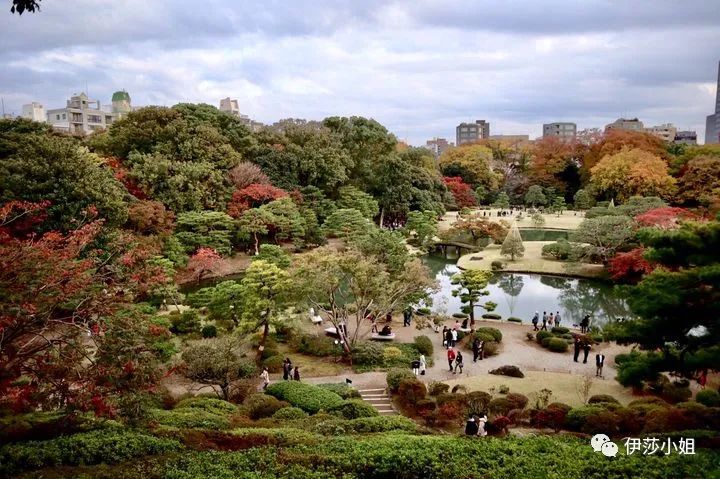 不看樱花能不能进武大,看樱花不一定要去日本的说说