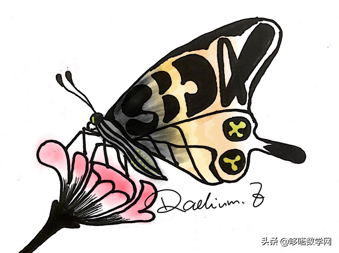 数学蝴蝶翅膀公式,蝴蝶翅膀上的数学