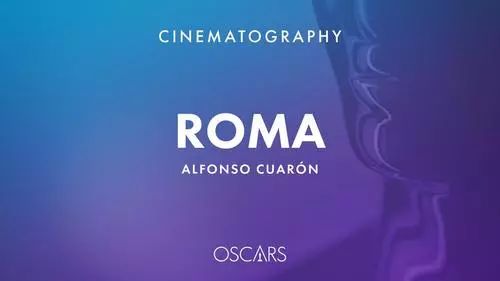 奥斯卡奖最佳短片七宗罪,奥斯卡24个奖项