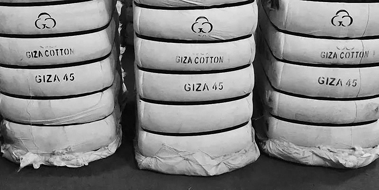 高支高克重t恤品牌,高支重磅t恤