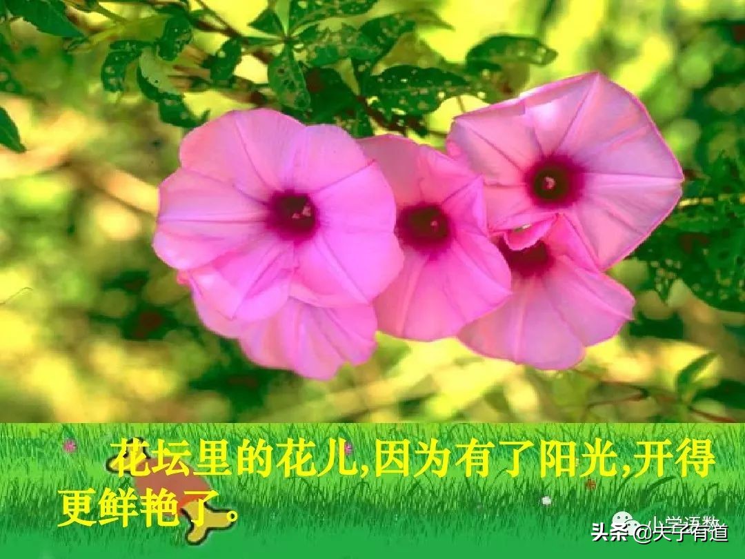 一年级语文下册语文园地二展示台,部编版一年级下册语文园地二练习