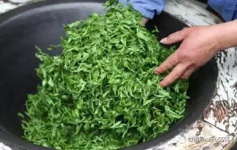 艾草茶正确喝法,哪些是不适合喝艾草茶的