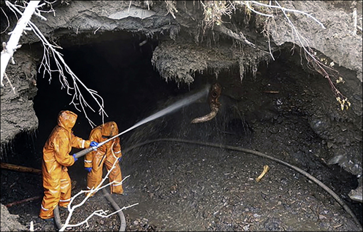 史前猛犸象遗骨,挖掘猛犸象骸骨