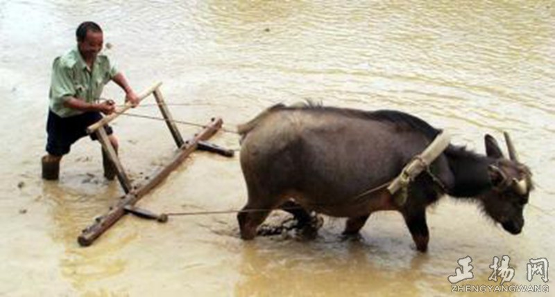 童年野外捉鱼,童年溪边捉鱼