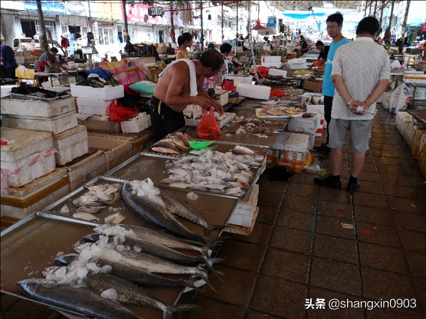 娴烽槼纰ф鍥紨鍞变細,娴烽槼涓佸瓧婀剧ⅶ妗傚洯