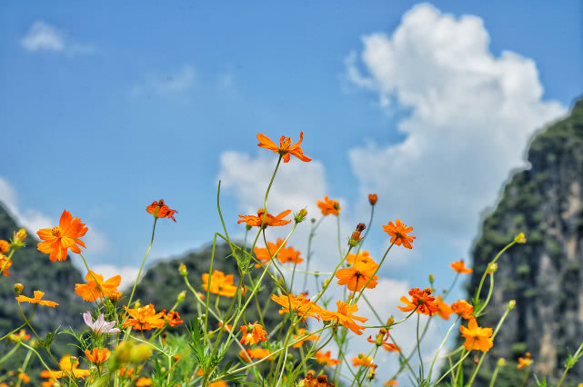 贺州旅游必去十大景点排名,贺州旅游十大最佳景点推荐