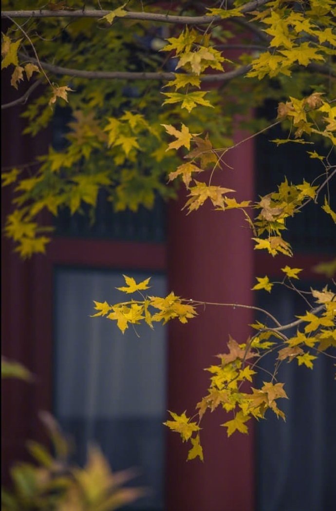 万壑千岩图片,万壑千岩锁翠烟赏析