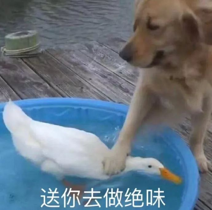 同款衣服实体店比网上贵怎么回事,同品牌的衣服实体店和网店的区别