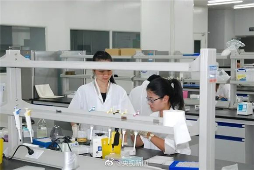 打完国产二价hpv后注意事项,hpv疫苗第一个研发出的