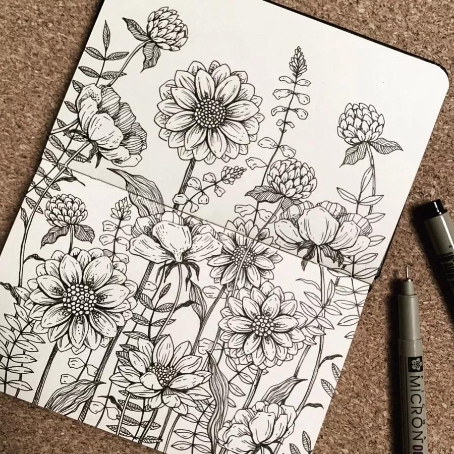 一看就懂的针管简笔画,针管笔入门手绘1000例临摹图