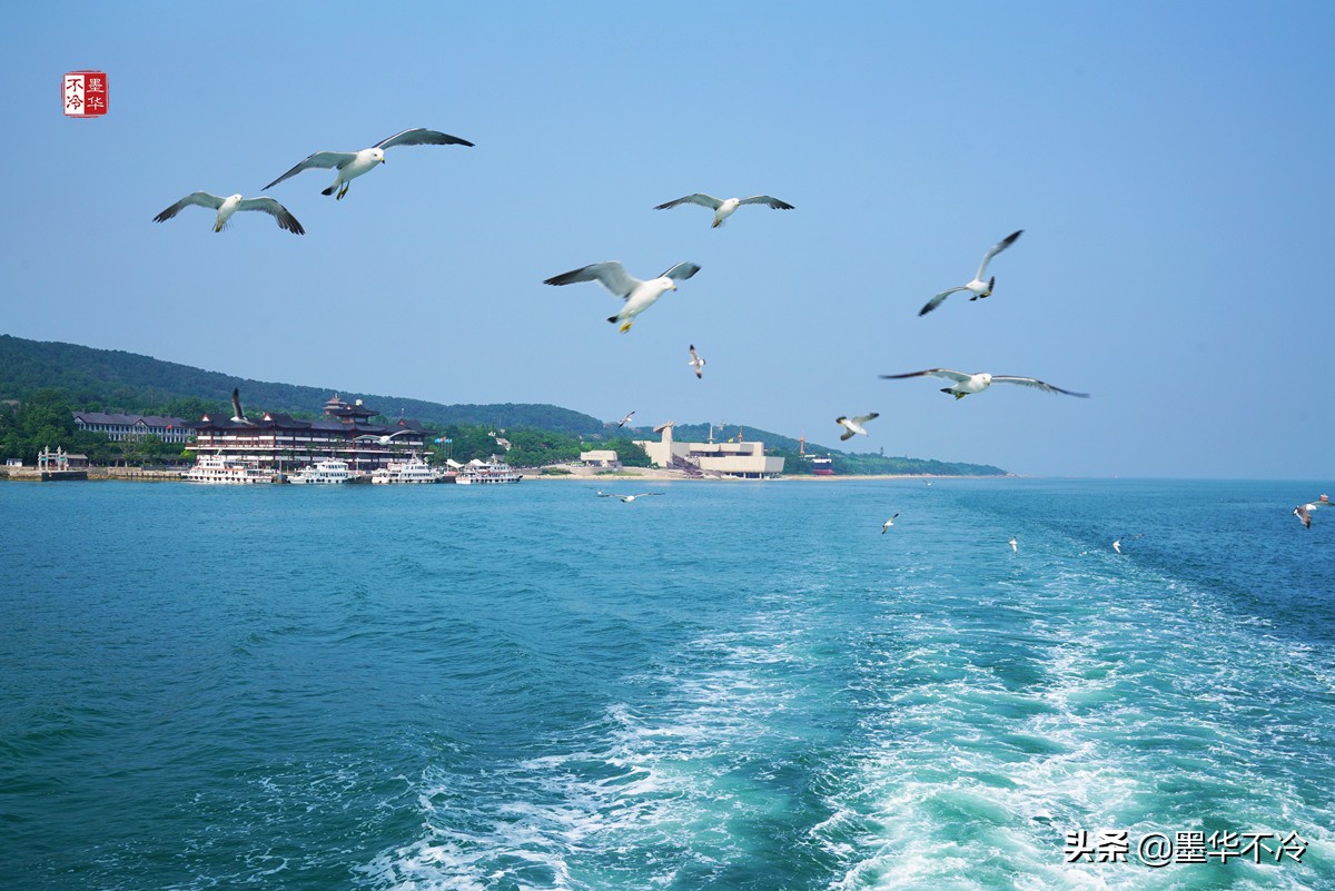 威海5月游记,威海最美一日游