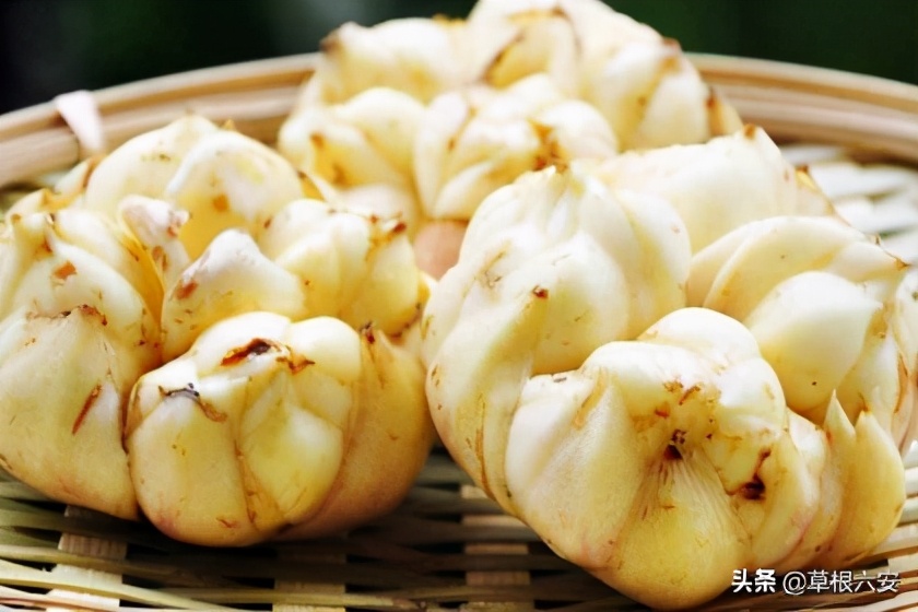 霍山一等奖名单,霍山县在全省排名多少位