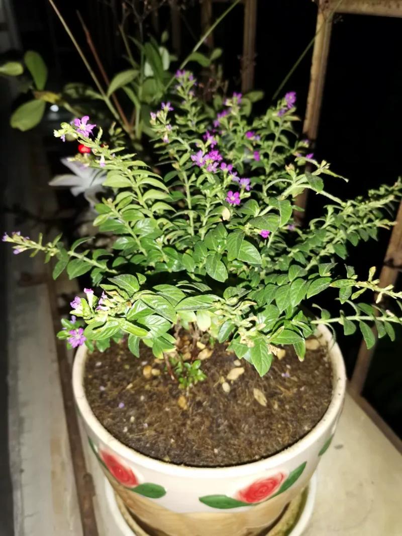 华为mate20对比荣耀v20液冷散热,荣耀magic2和v20和20pro哪个值得买