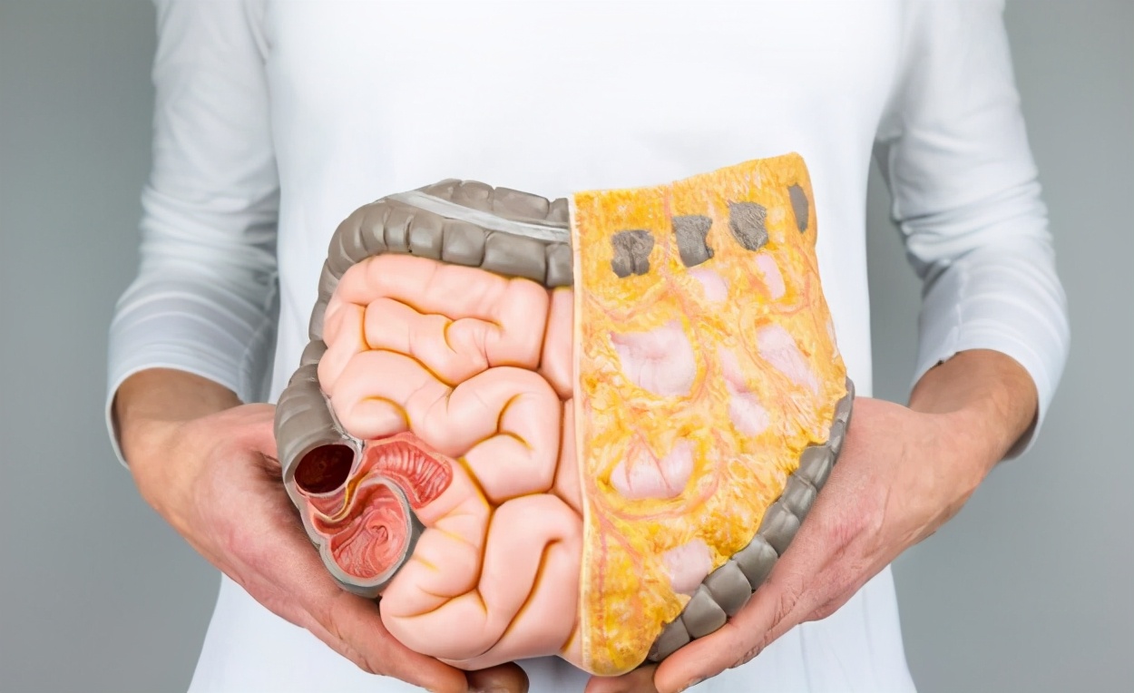 肠鸣闹肚子恶心,肠鸣频繁是什么原因引起的