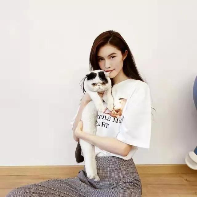 王思聪对陈伟霆的评价,陈伟霆在港圈的地位