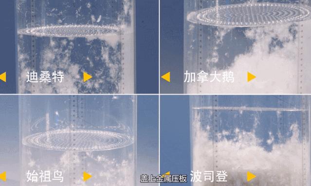 羽绒服实力清仓,羽绒服测评美力城