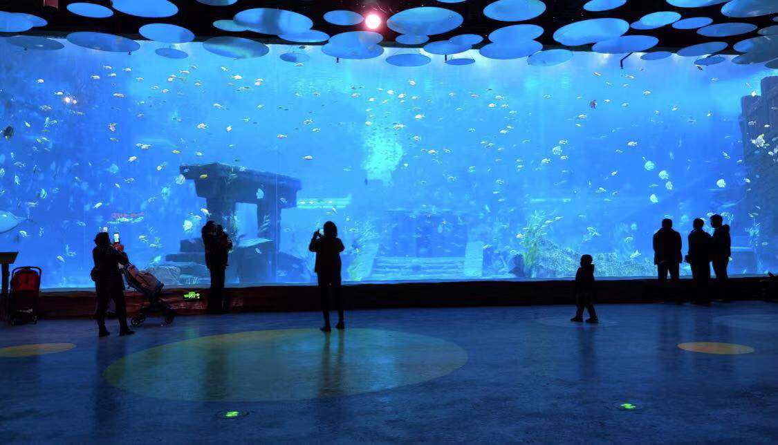 今年元旦只有一天假？别怕！快收下这份昆明一日游攻略