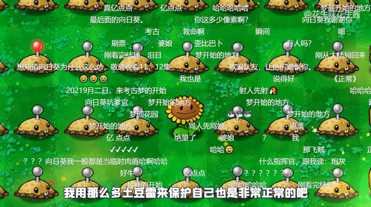 念念不忘,必有回响|他们在西瓜视频,延续着绮丽的异次元之梦