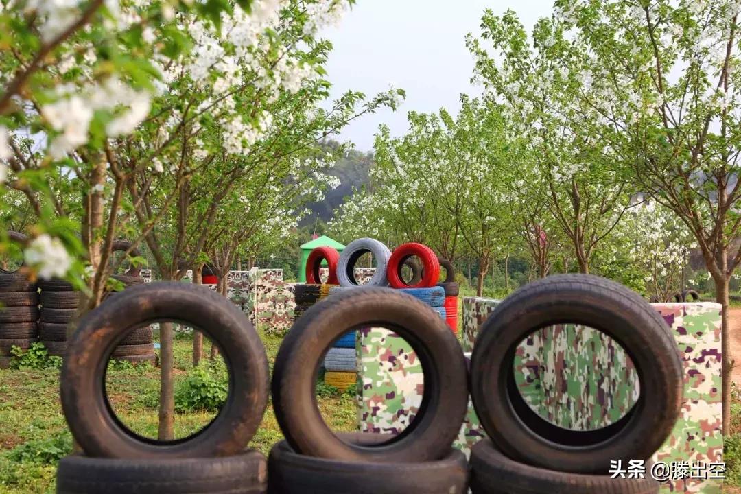 带你来樱花园看浪漫樱花,最美校园春天必打卡的樱花胜地