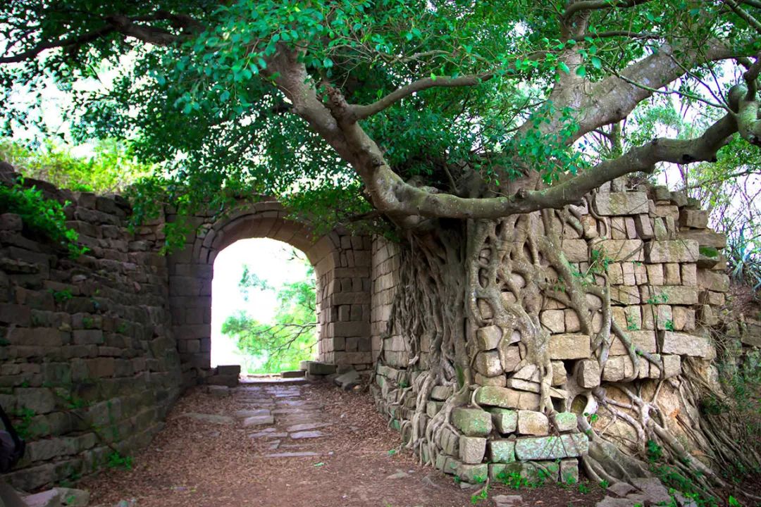 福建哪里好玩的景点推荐海边,福建最好玩的地方景点冬天