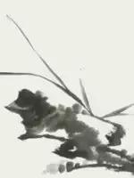 兰花的画法国画,兰花的画法步骤动画