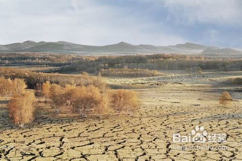 呼兰河传深度解读,解读呼兰河传