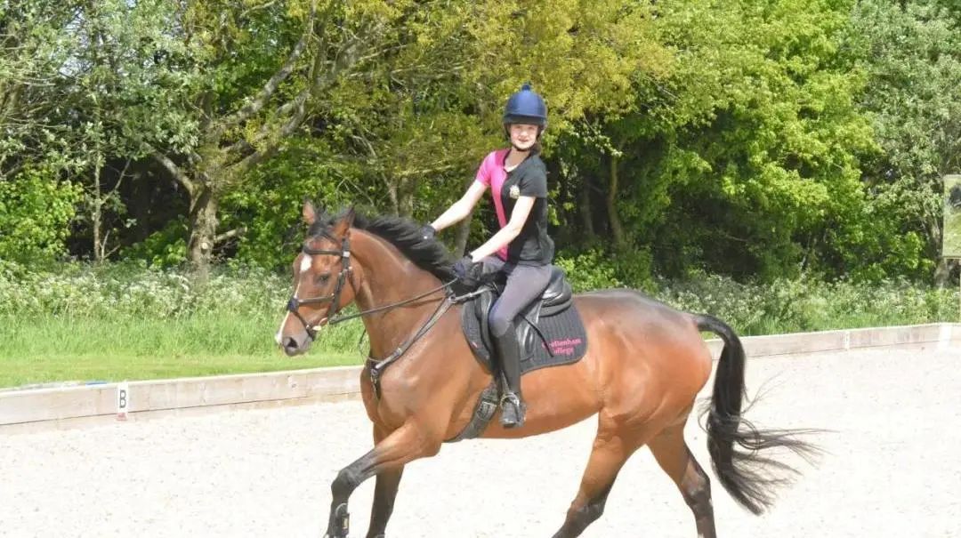 伊顿公学和哈罗公学哪个更好,切尔滕纳姆女子学校排名