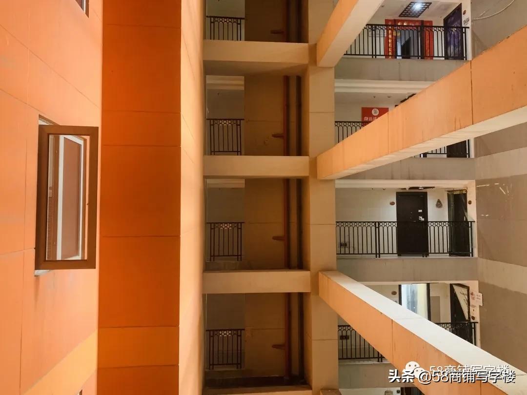 盲盒式商业！撸猫洗jio泡吧…重*红庆**鼎国际撑起一片空中生意？