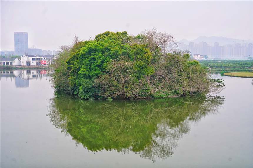 江南水乡旅游攻略四天三晚,温州旅行攻略四天三夜