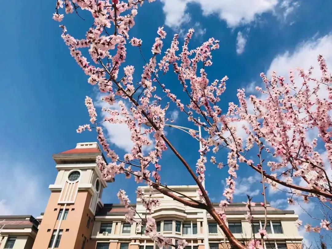 辽宁省民办大学,辽宁理工学院是民办吗