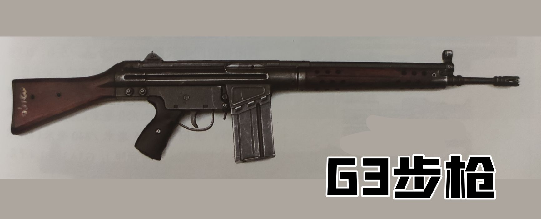 德国1930年的老枪,德国18世纪剑枪图片