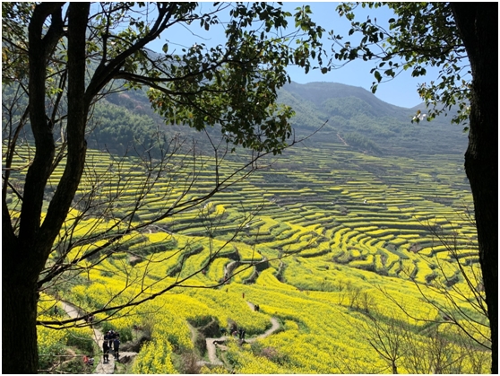 上虞沐格山居住宿攻略,民宿日记