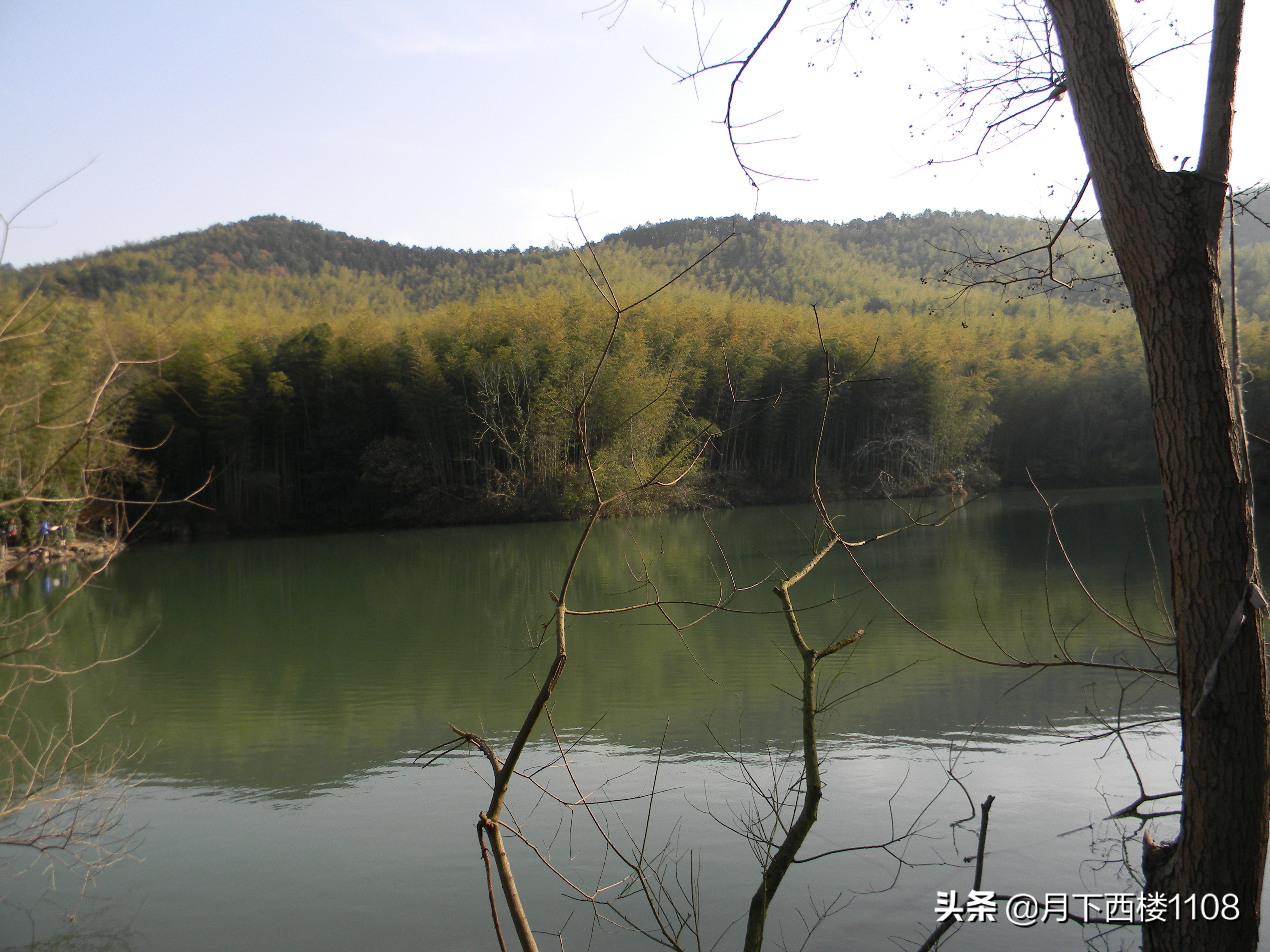 南京石塘竹海照片,南京石塘竹海公园