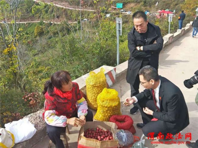 渭南市政法微报,渭南政法微报图片