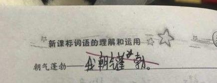 最懒小学生造句完整版,最懒小学生搞笑的造句