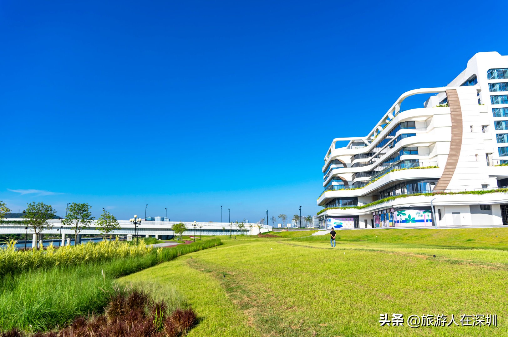 珠海横琴怎么样,珠海横琴最好的区域是哪里