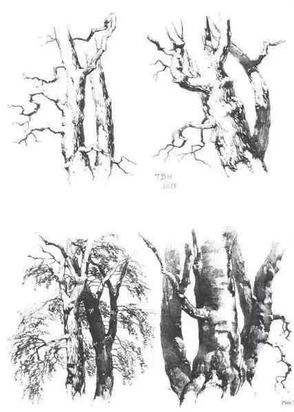 风景速写1000例临摹图高清,炭笔速写风景初学者图片教程